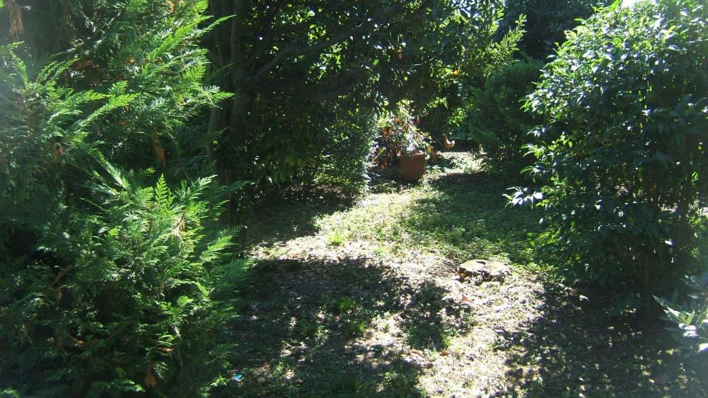 Locanda Canareggio San Biagio di Callalta エクステリア 写真